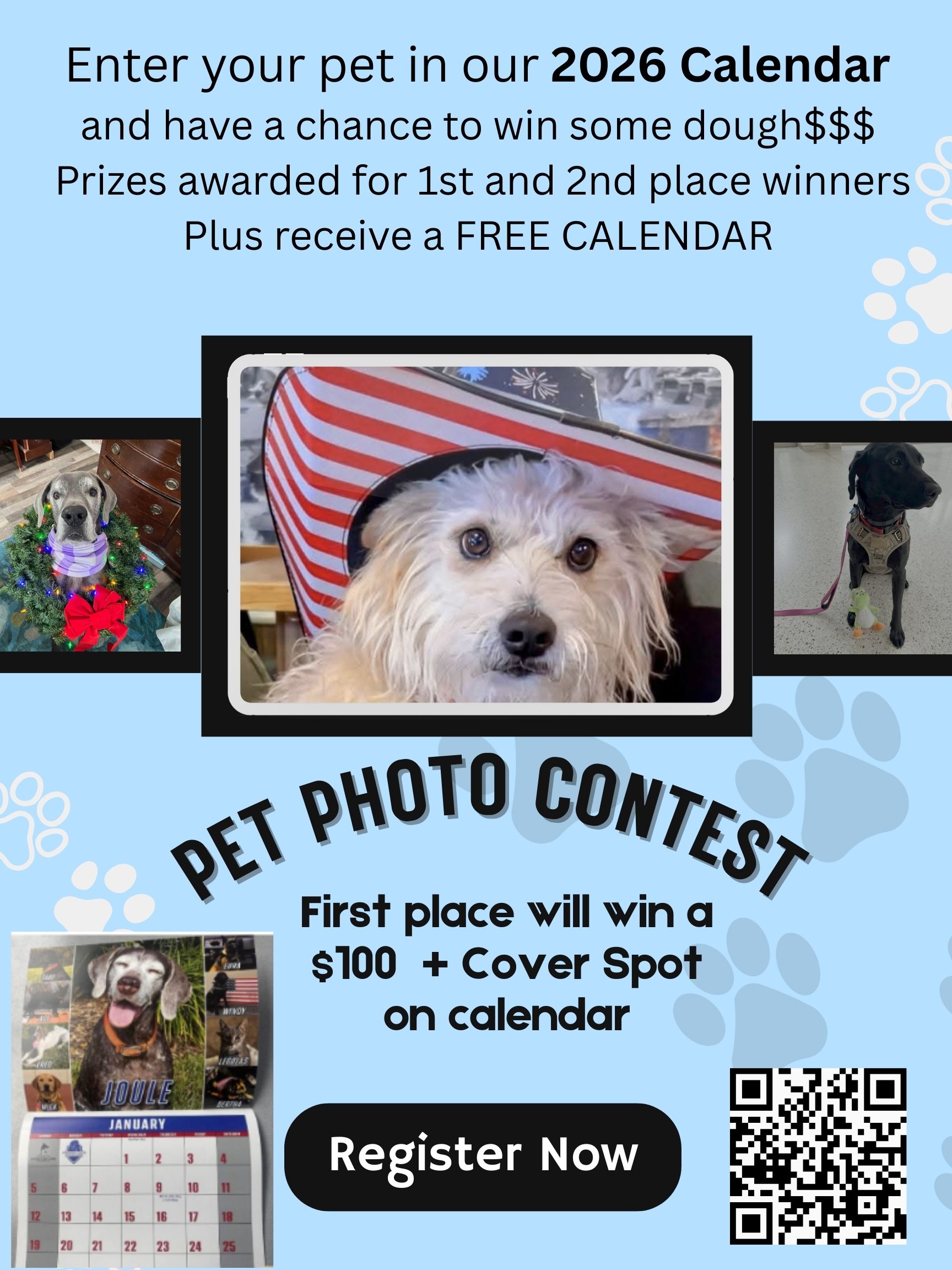 Light Blue Soft Cute Animated Pet Photo Contest Poster